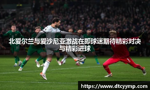 北爱尔兰与爱沙尼亚激战在即球迷期待精彩对决与精彩进球