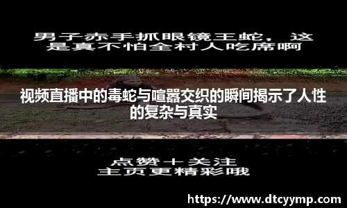 V66体育手机下载